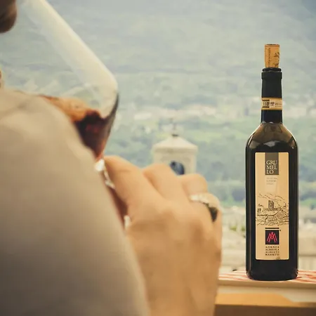 Апартаменты Da Vinci Retreat Лекко