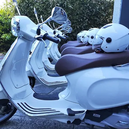 Da Vinci Retreat * 레코